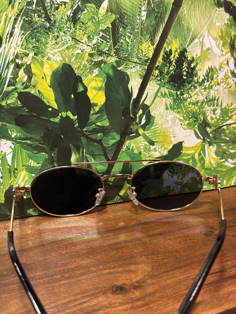 Miu Miu Gold Frame Black Lens Round Sunglasses for Men